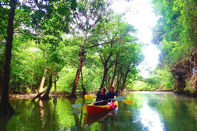 Ishigaki Mangrove SUP/Canoe + Blue Cave Snorkeling - Discounts and Offers