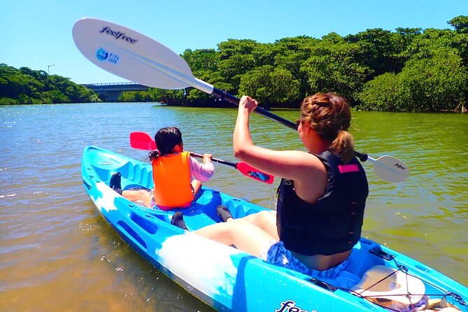 [INPUT TEXT TRANSLATED INTO English]:Ishigaki Mangrove SUP/Canoe Tour - Key Points