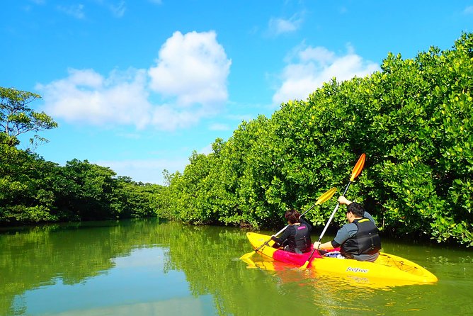 [INPUT TEXT TRANSLATED INTO English]:Ishigaki Mangrove SUP/Canoe Tour - Additional Tour Details