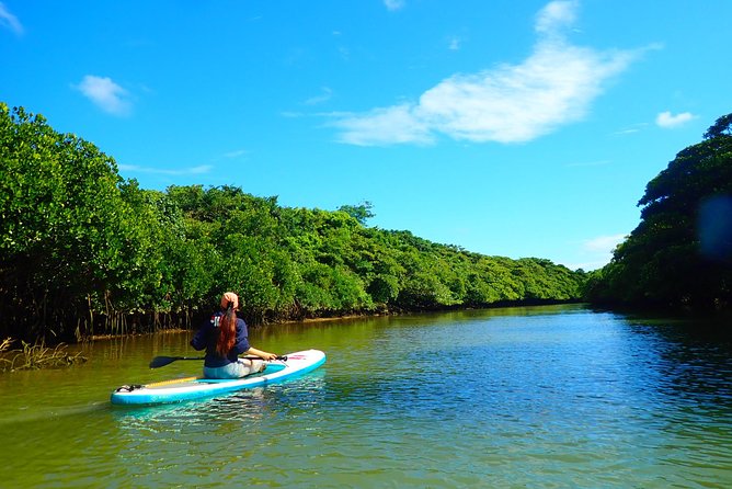[INPUT TEXT TRANSLATED INTO English]:Ishigaki Mangrove SUP/Canoe Tour - Tour Pricing