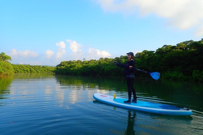 [INPUT TEXT TRANSLATED INTO English]:Ishigaki Mangrove SUP/Canoe Tour - Natural Habitat of Mangroves