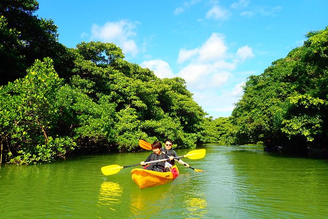 [INPUT TEXT TRANSLATED INTO English]:Ishigaki Mangrove SUP/Canoe Tour - Guided Experience
