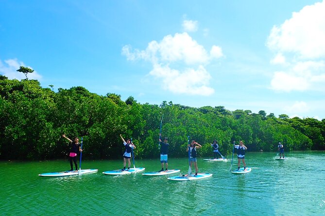 [INPUT TEXT TRANSLATED INTO English]:Ishigaki Mangrove SUP/Canoe Tour - Special Offers for Participants