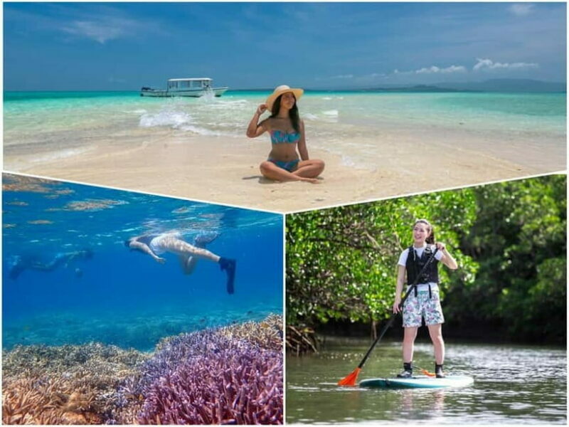 Ishigaki: Mangrove SUP or Canoe & Phantom Island Snorkeling - Itinerary Breakdown