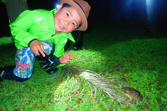 [Ishigaki] Night Jungle Tour - Tour Details