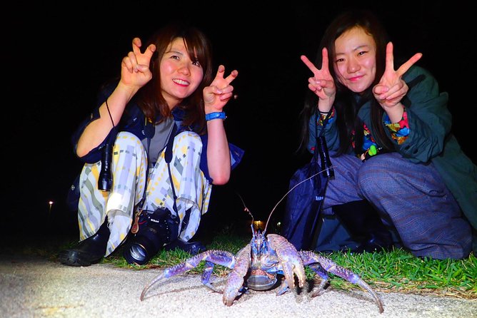 [Ishigaki] Night Jungle Tour - Tour Logistics