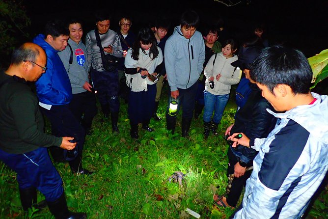 [Ishigaki] Night Jungle Tour - Frequently Asked Questions