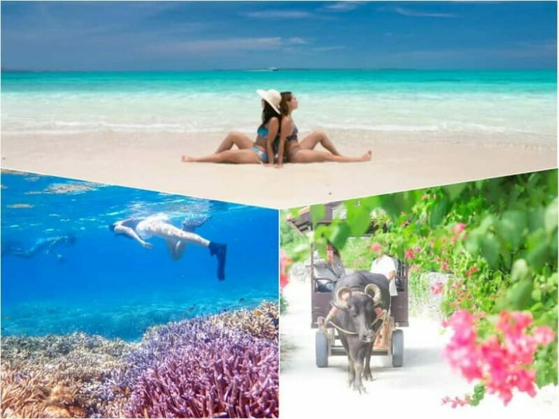 Ishigaki: Phantom Island Snorkeling and Taketomi Sightseeing - Key Points