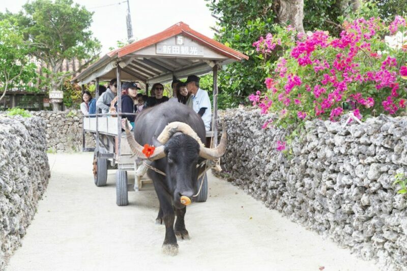 Ishigaki: Phantom Island Snorkeling and Taketomi Sightseeing - Final Thoughts: Who Should Consider This Tour?