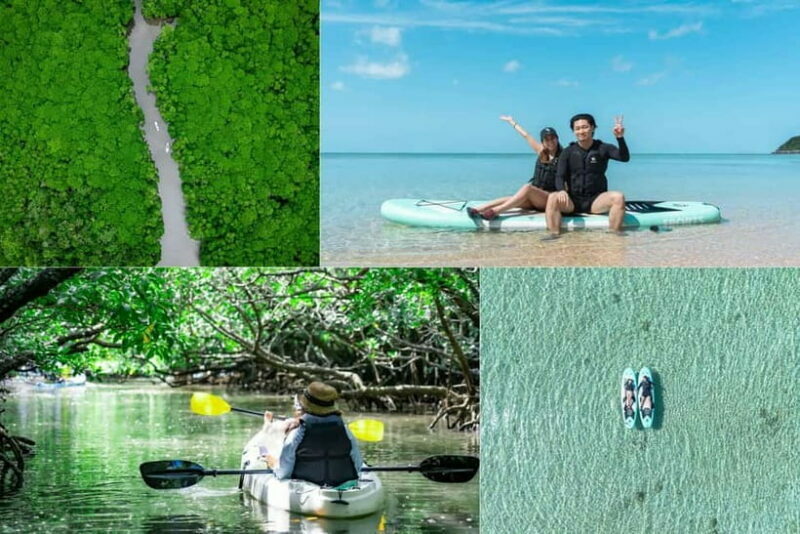 Ishigaki:Mangrove&Sea SUP/Kayak Tour with SLR&Drone footage - Key Points
