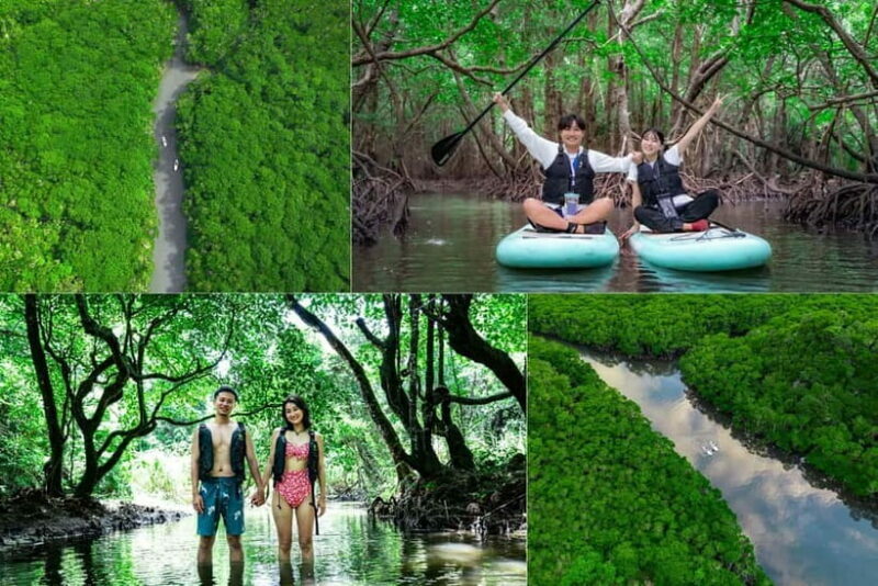 Ishigaki:Mangrove&Sea SUP/Kayak Tour with SLR&Drone footage - Final thoughts