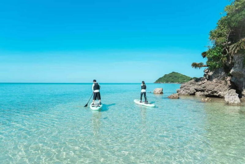 Ishigaki:Mangrove&Sea SUP/Kayak Tour with SLR&Drone footage - FAQ
