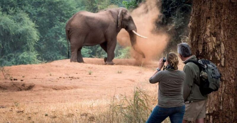 Isimangaliso Day Tour & Hippo & Croc Boat Cruise From Durban - Hippo & Croc Boat Cruise