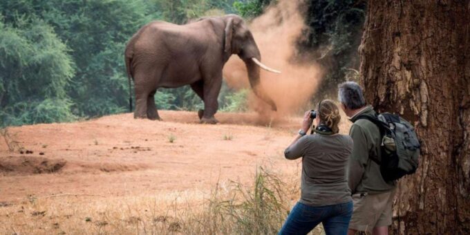 Isimangaliso Day Tour & Hippo & Croc Boat Cruise From Durban - Frequently Asked Questions