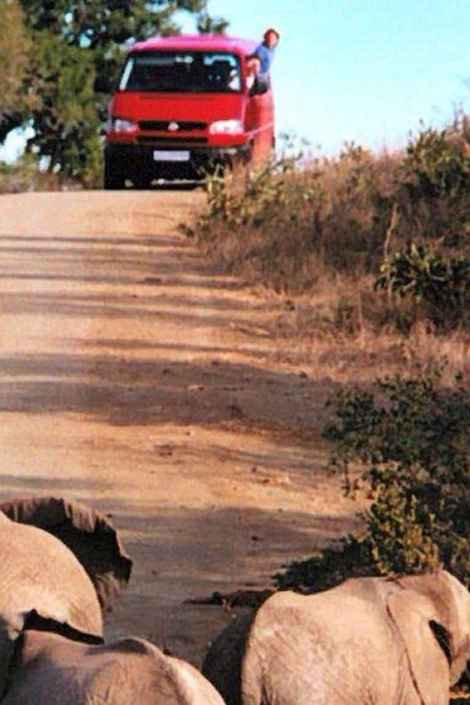 Isimangaliso W Park Game Dve & Hippo Boat Cruise From Durban - Experience Highlights