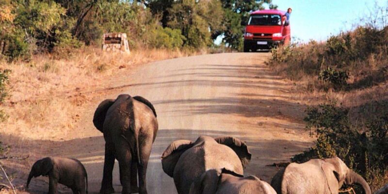 Isimangaliso W Park Game Dve & Hippo Boat Cruise From Durban - Itinerary Details