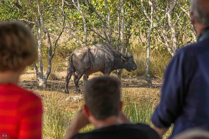 Isimangaliso Wetland Park, Full Day Tour - Included in the Tour