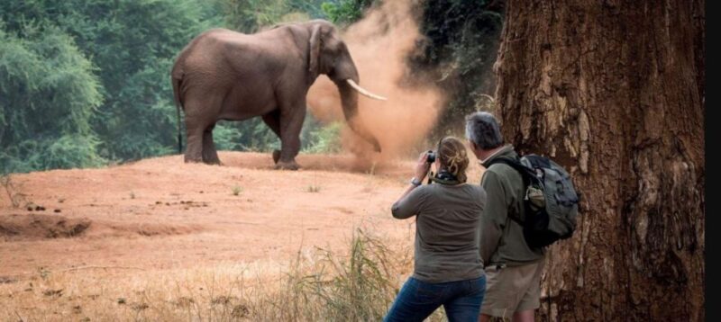 Isimangaliso Wetlands Park Full Day Tour From Durban - Key Points