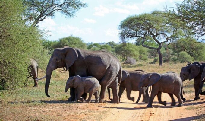 Isimangaliso Wetlands Park Full Day Tour From Durban - Booking and Cancellation Policy