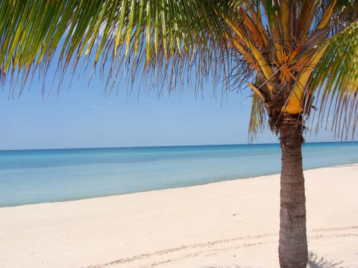 Isla Aguada: Flight of the Bird and the Smile of the Dolphin - Itinerary Highlights
