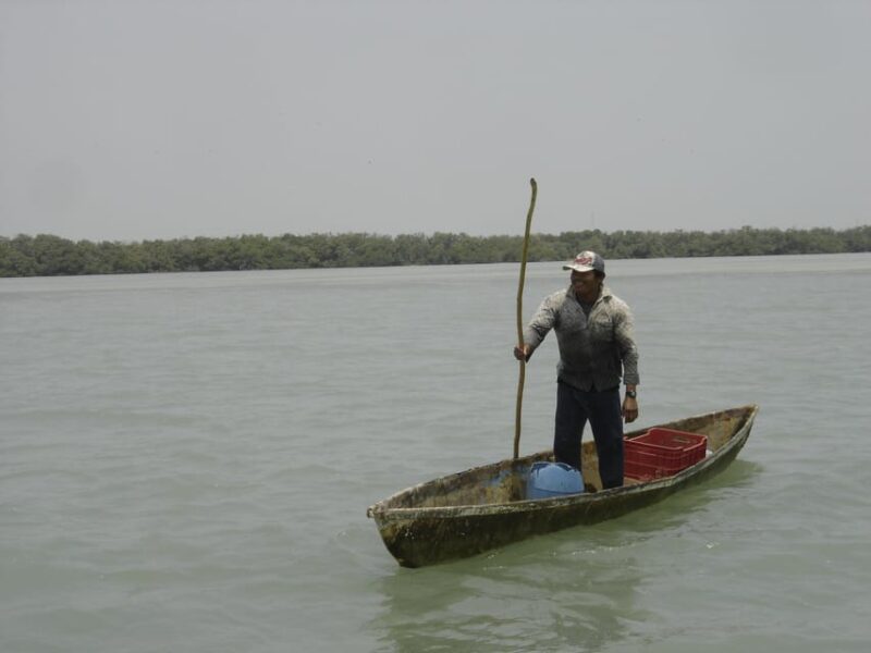 Isla Aguada: Flight of the Bird and the Smile of the Dolphin - Birdwatching and Dolphin Watching