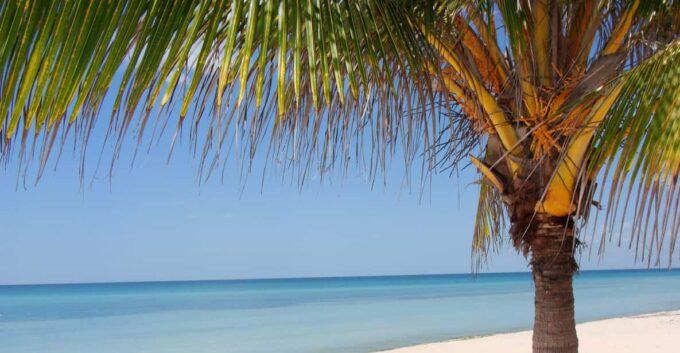 Isla Aguada: Flight of the Bird and the Smile of the Dolphin - Frequently Asked Questions