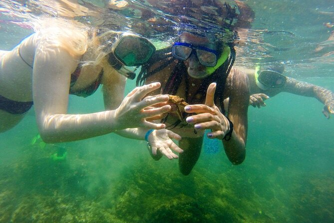 Isla Chora Kayak and Snorkel Activity - Included Amenities and Gear