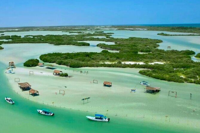 Isla Columpios and Progreso Day Trip - What the Tour Offers: A Deep Dive