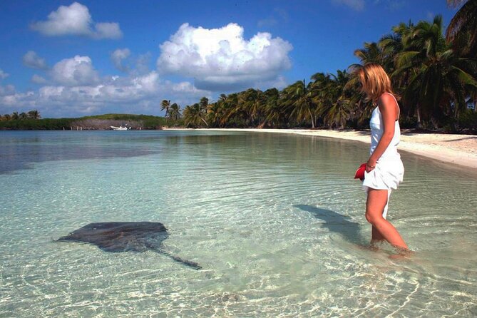 Isla Contoy Hidden Beauty! With Round Transportation From Cancun & Riviera Maya - Customer Reviews
