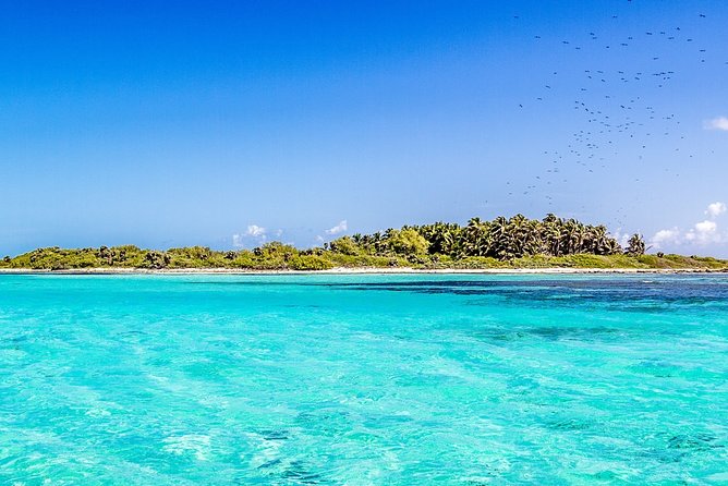 Isla Contoy Incredible Tour! Round Transportation From Cancun & Playa Del Carmen - Pickup Locations and Schedules