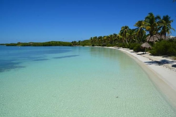 Isla Contoy Incredible Tour! Round Transportation From Cancun & Playa Del Carmen - Customer Feedback and Ratings