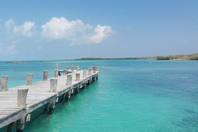 Isla Contoy & Isla Mujeres (From Playa Del Carmen) - Snorkeling at Ixlache Reef