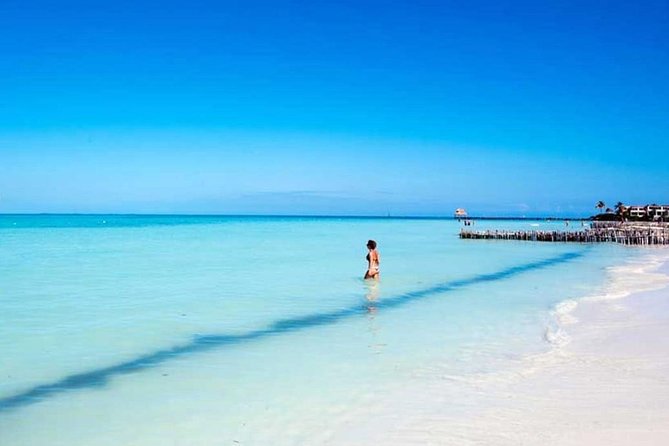 Isla Contoy & Isla Mujeres Tour From Cancun & Playa Del Carmen - Highlights of Isla Contoy