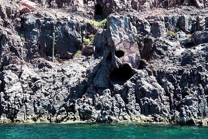 Isla Espiritu Santo and Balandra Tour - Key Points