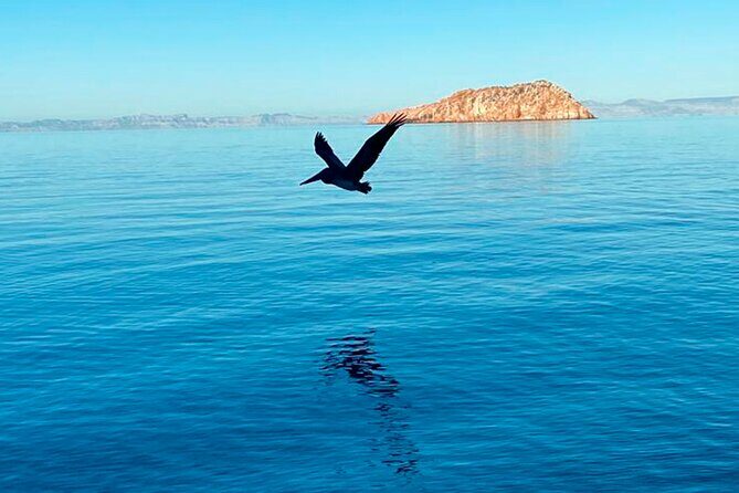 Isla Espiritu Santo and Balandra Tour - The Itinerary in Detail