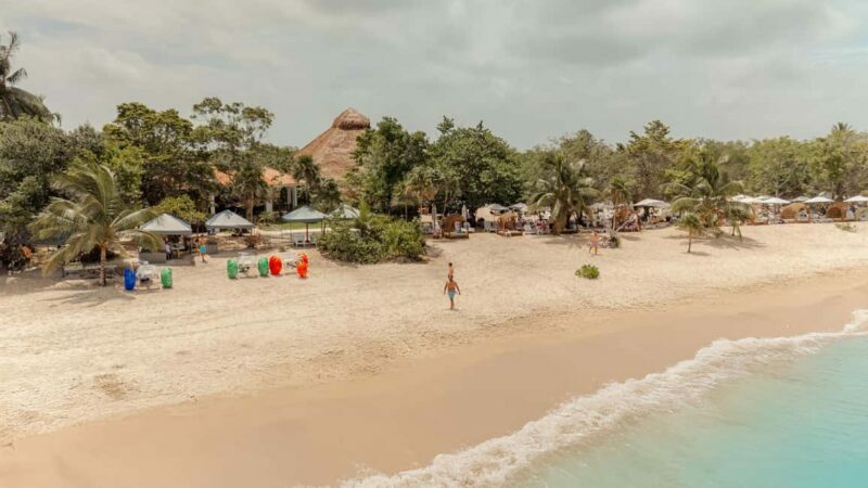 Isla Mia Roots with Tranfer - Pros and Cons Based on Traveler Feedback