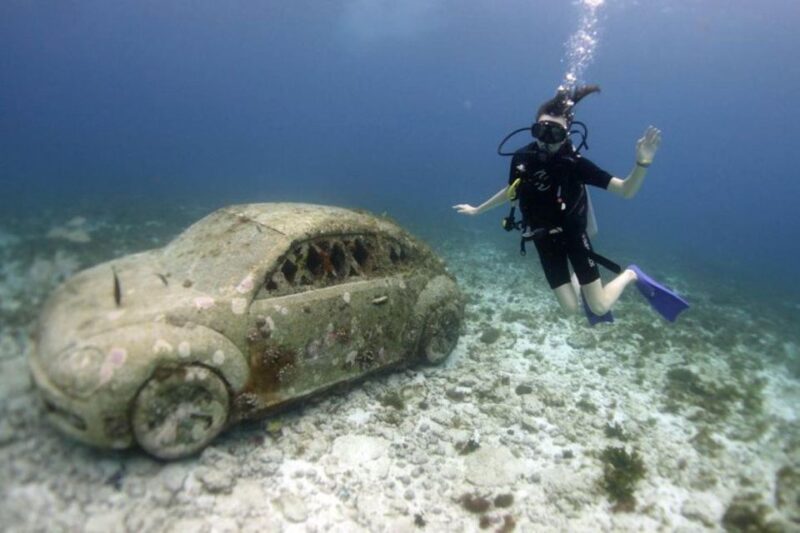 Isla Mujeres: 2-Tank Dive for Certified Divers - Key Points