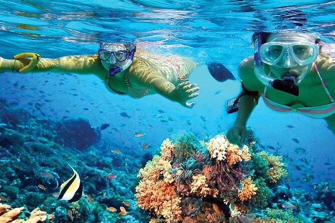 Isla Mujeres Catamaran, Open Bar and Optional Buffet Lunch - Accessibility and Cancellation