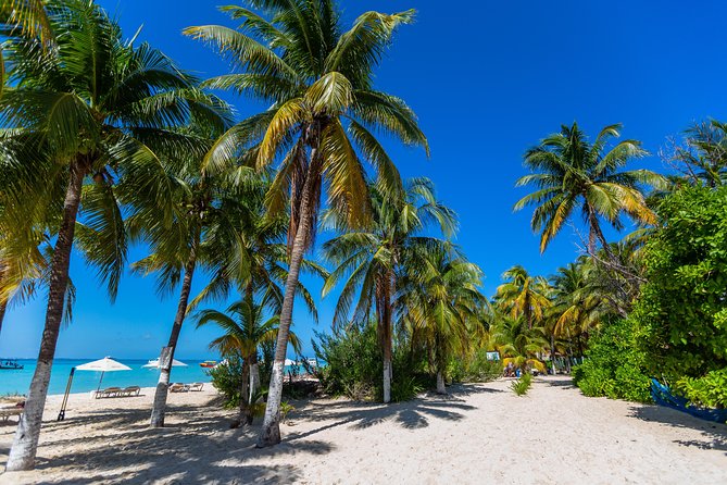 Isla Mujeres Catamaran, Open Bar and Optional Buffet Lunch - Customer Feedback