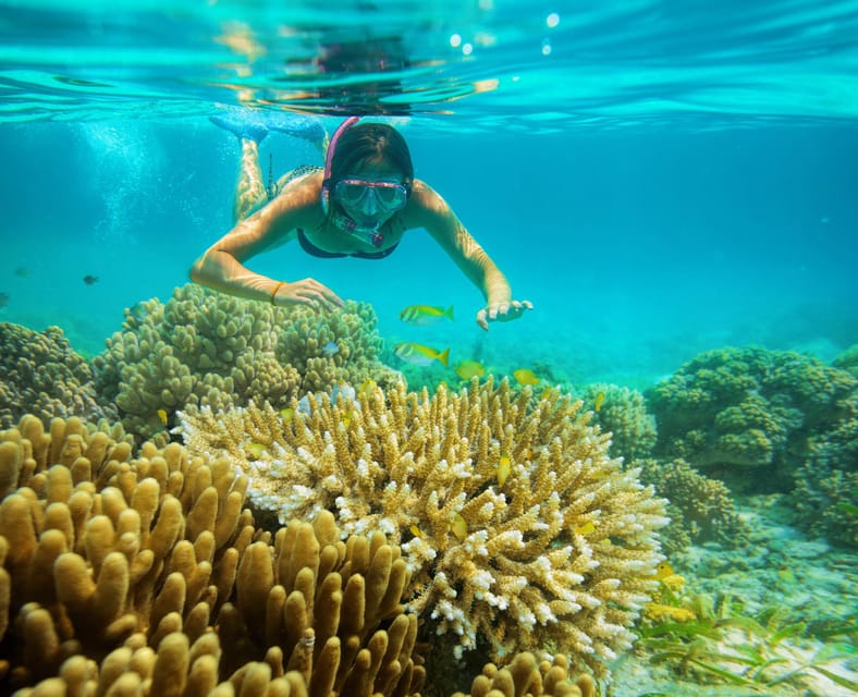 Isla Mujeres: Catamaran, Snorkeling, Open Bar and Buffet - Safety and Alcohol Policy