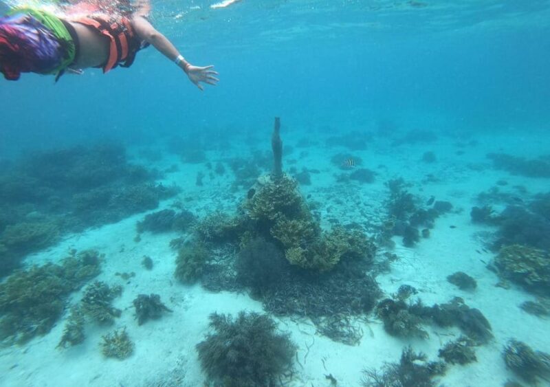 Isla Mujeres: Catamaran Tour, Snorkel, Buffet and Open Bar - Transportation and Meeting Point