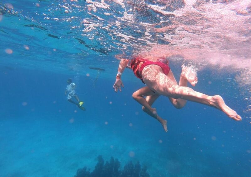 Isla Mujeres: Catamaran Tour With Snorkel, Buffet and Drinks - Key Points