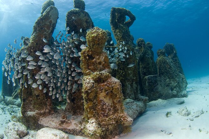 Isla Mujeres Catamaran Tour With Snorkeling at Musa, Buffet Lunch & Open Bar - Guest Reviews and Feedback