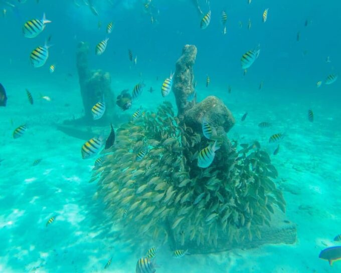 Isla Mujeres Catamaran Tour With Unlimited Drinks & Transfer - Frequently Asked Questions