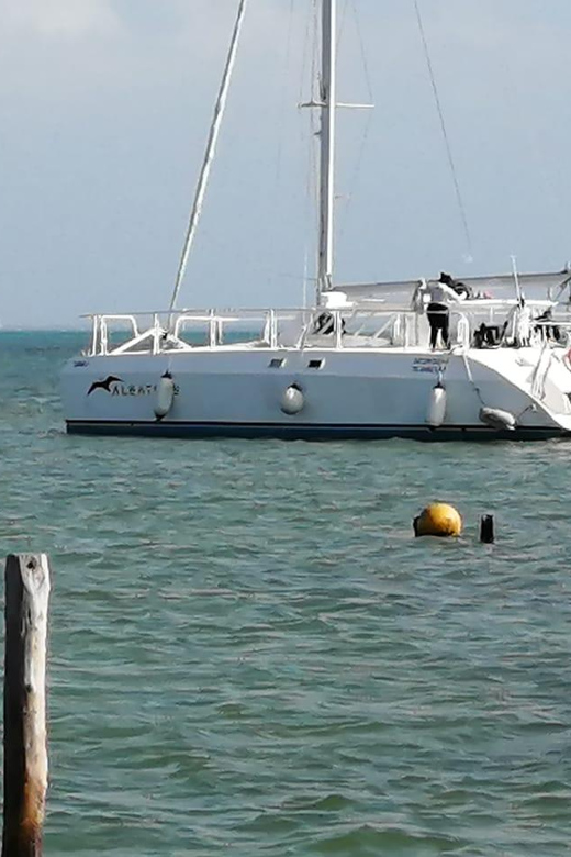 Isla Mujeres: Catamaran Trip to the Island & Open Bar! - Explore the Vibrant Underwater World