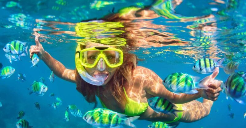 Isla Mujeres: Catamaran With Open Bar, Snorkeling and Lunch - Inclusions and Options
