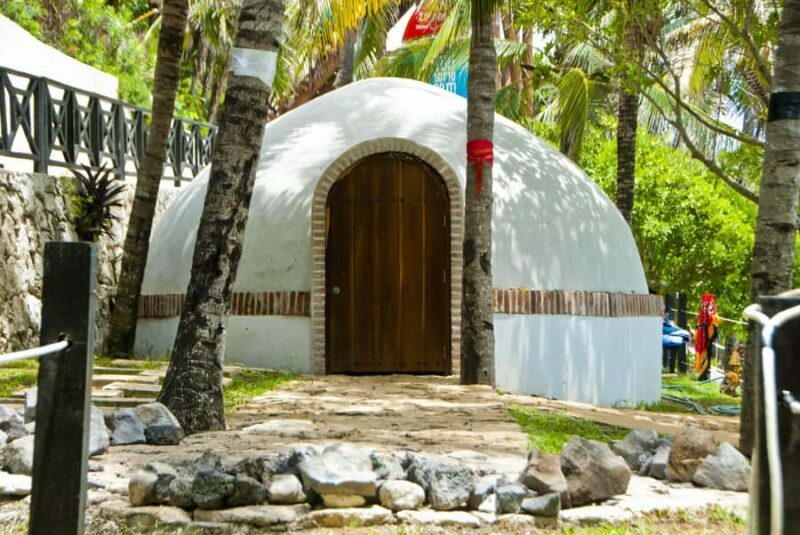 Isla Mujeres: Dolphin Encounter with Garrafon Park Admission - A Few Considerations