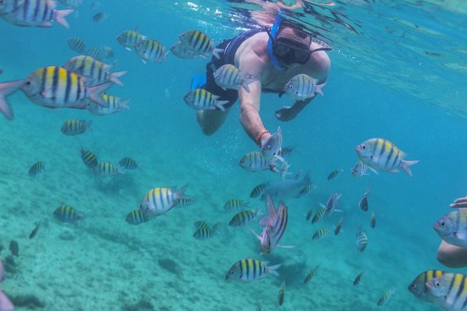 Isla Mujeres Luxury Catamaran Sailing Plus Lunch and Open Bar - Guided Tour and Self-Exploration