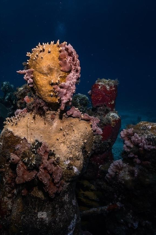 Isla Mujeres: MUSA and the Manchones Reef: 2 Tank Dive Tour - Key Points