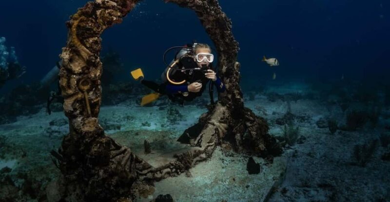 Isla Mujeres: MUSA and the Manchones Reef: 2 Tank Dive Tour - Highlights